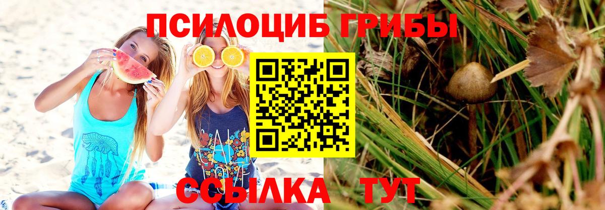 Псилоцибиновые грибы Psilocybine cubensis  Псилоцибиновые грибы мицелий  Вход с VPN  Мытищи 